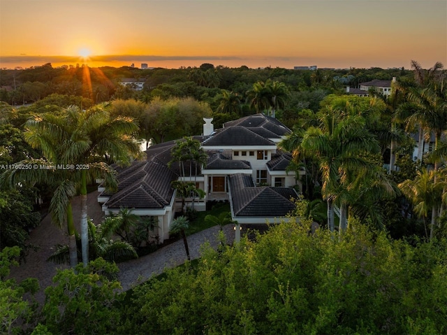 665 Leucadendra Dr, Coral Gables, FL 33156 - view of aerial view at dusk
