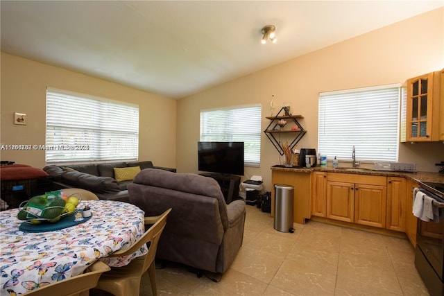 living room with vaulted ceiling and plenty of natural light