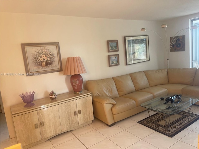 2910 Point E Dr Unit M414, Aventura, FL 33160 - living room with light tile patterned flooring