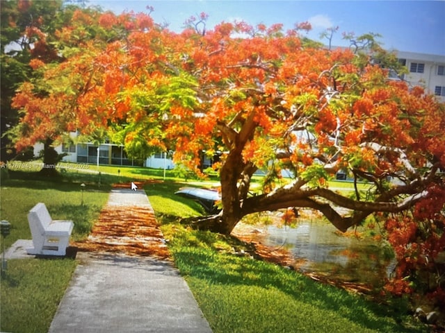 2910 Point E Dr Unit M414, Aventura, FL 33160 - photo 30