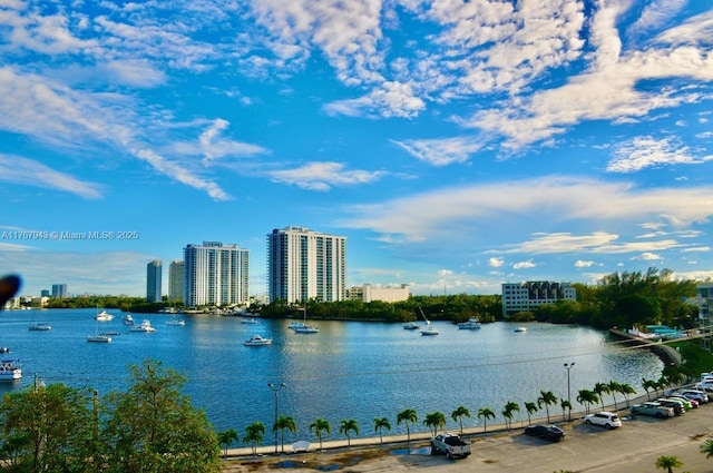 2910 Point E Dr Unit M414, Aventura, FL 33160 - water view with nearby urban area