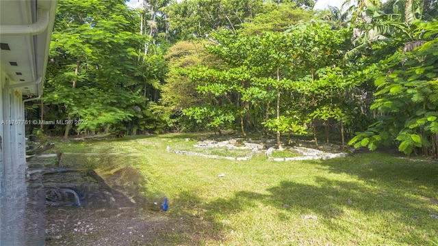 9055 SW 158th St, Palmetto Bay, FL 33157 - view of yard