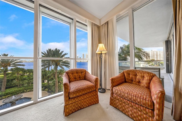 sunroom / solarium with carpet and a water view