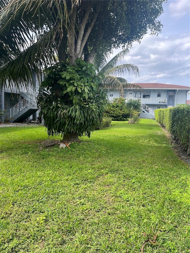 view of yard