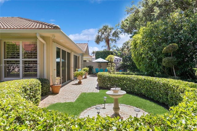 view of yard with a patio area