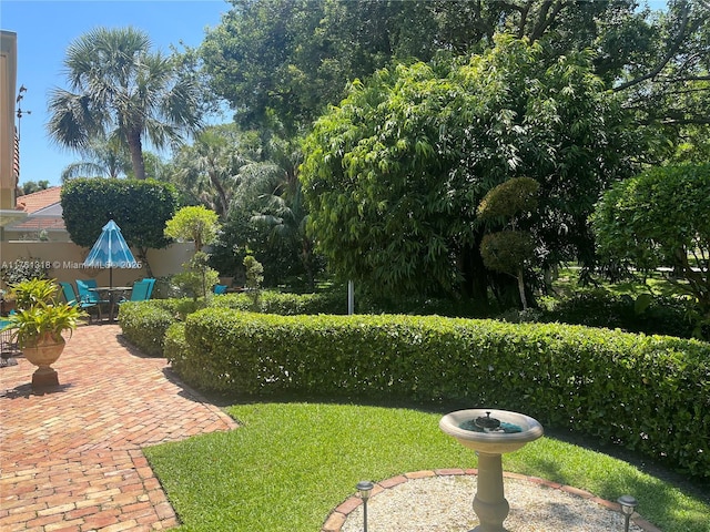 view of green lawn featuring a patio