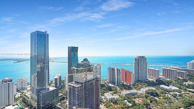 60 SW 13th St Unit 3820, Miami, FL 33130 - city view with a nearby body of water
