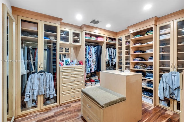 6400 Marlin Dr, Coral Gables, FL 33158 - spacious closet with light wood finished floors