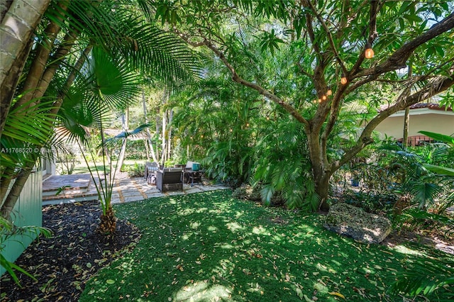view of yard with a patio and outdoor lounge area
