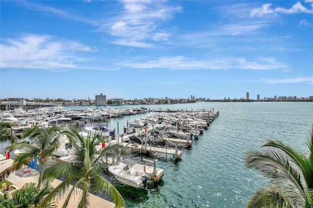 view of water feature featuring a view of city and a dock