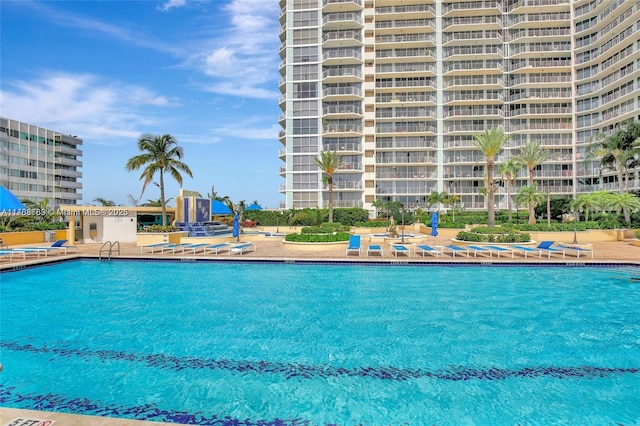 view of swimming pool