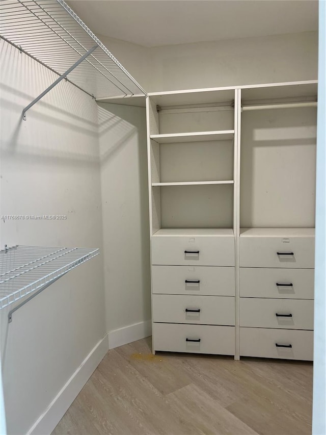 walk in closet featuring light wood finished floors