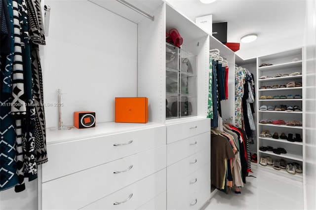 13453 SW 58th Ave, Pinecrest, FL 33156 - view of spacious closet