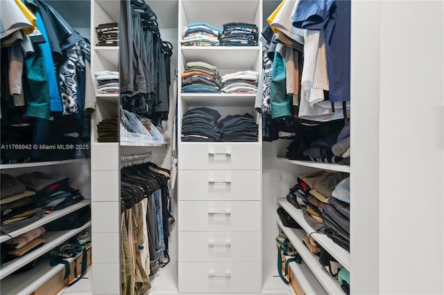 view of spacious closet