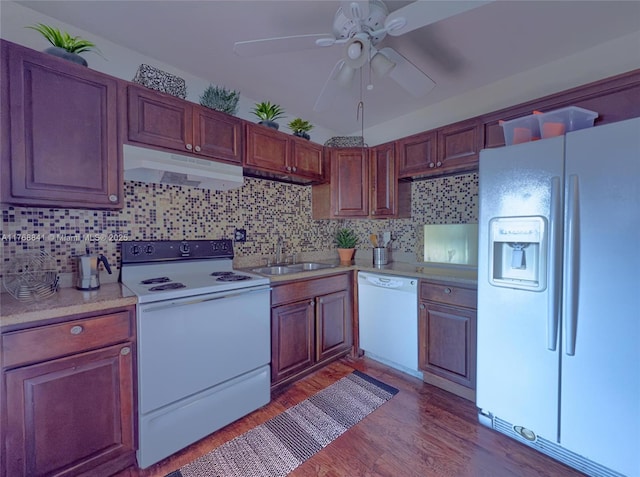 1103 NW 58th Ter Unit 224, Sunrise, FL 33313 - kitchen featuring white appliances, under cabinet range hood, a sink, wood finished floors, and a ceiling fan