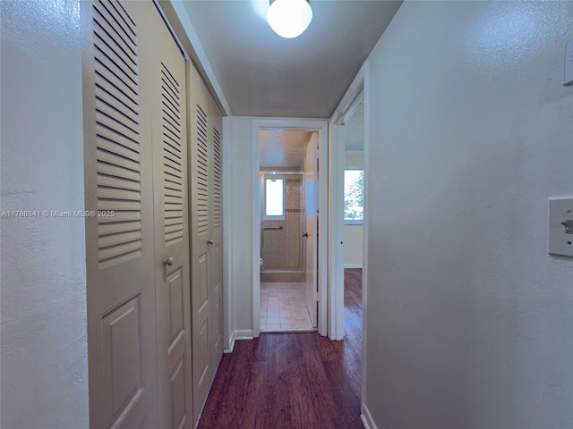 1103 NW 58th Ter Unit 224, Sunrise, FL 33313 - hall featuring dark wood-style flooring and baseboards
