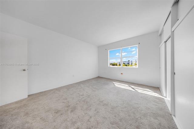 unfurnished bedroom featuring carpet floors