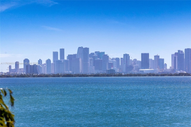 view of water feature with a city view