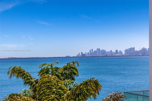 water view featuring a city view