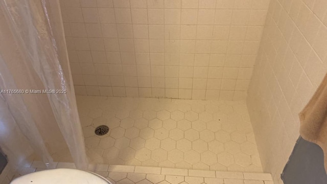 1616 Churchill St, Lake Placid, FL 33852 - details with tiled shower