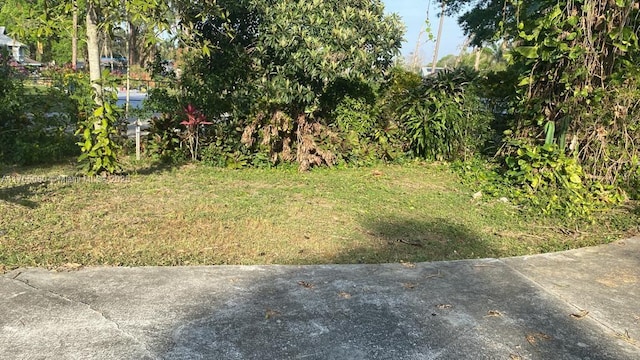 1616 Churchill St, Lake Placid, FL 33852 - view of yard