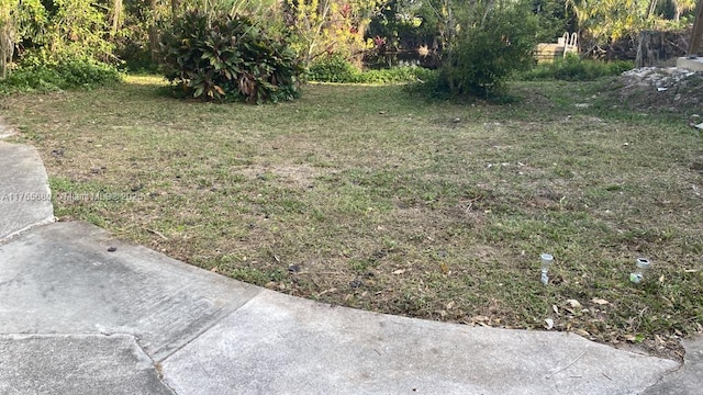 1616 Churchill St, Lake Placid, FL 33852 - view of yard