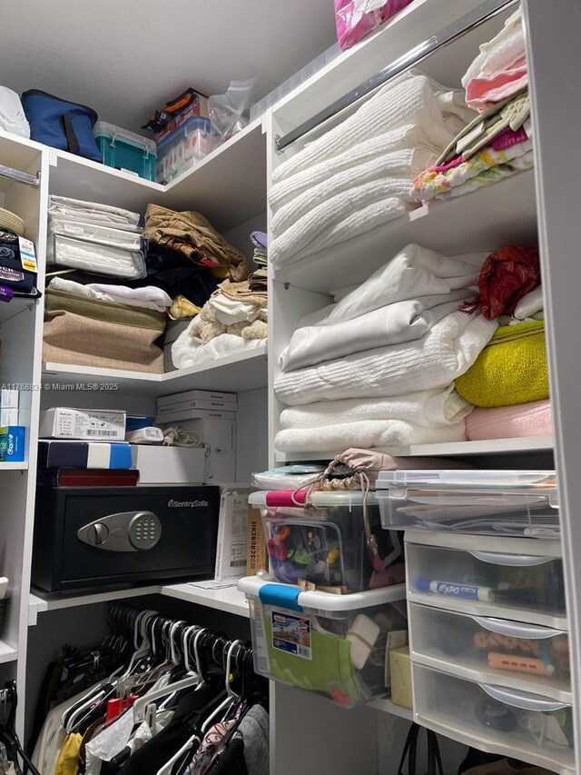 view of walk in closet