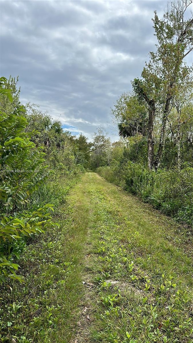 515 W Shady Hollow Blvd, Naples, FL 34120 - photo 31