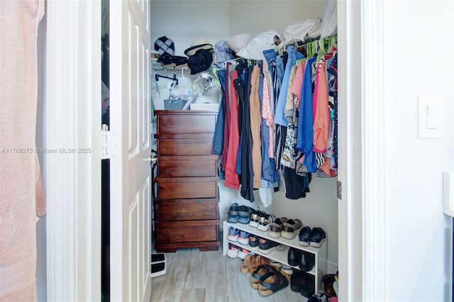 walk in closet featuring wood finished floors