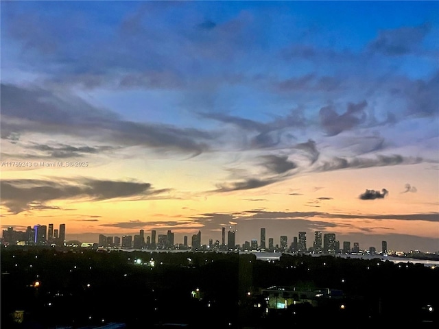 2899 Collins Ave Unit 1638, Miami Beach, FL 33140 - skyline view