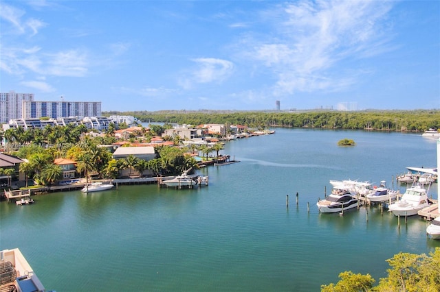 water view featuring a dock