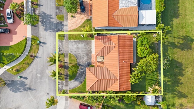 bird's eye view