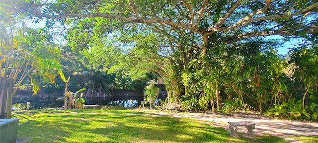 14241 Memorial Hwy Unit 9F, Miami, FL 33161 - photo 30