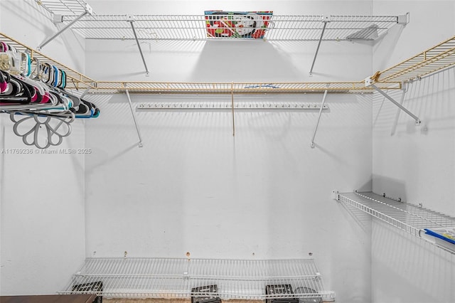 2525 SW 86th Ave, Davie, FL 33324 - view of spacious closet