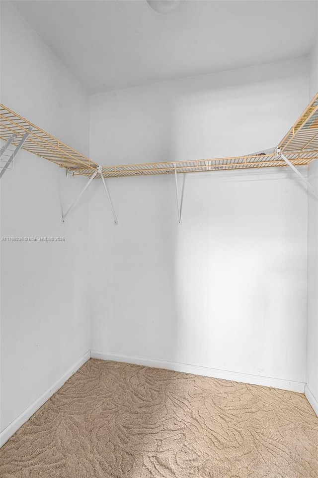 2525 SW 86th Ave, Davie, FL 33324 - spacious closet featuring carpet flooring