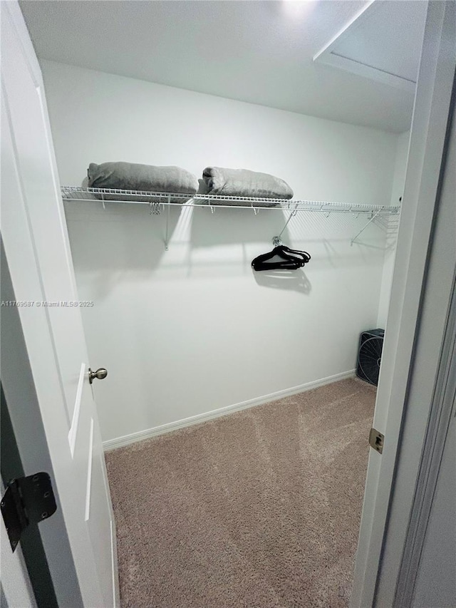 walk in closet featuring carpet
