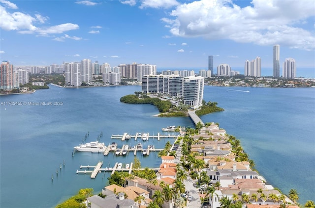 4000 Island Blvd Unit Ph6, Aventura, FL 33160 - view of water feature with a city view