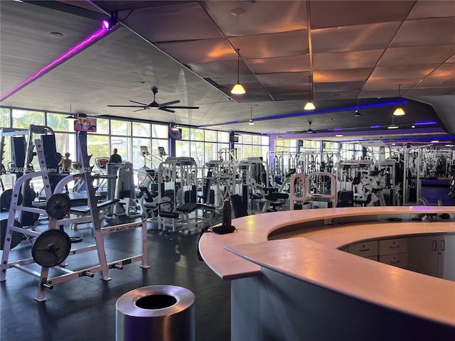 workout area with a ceiling fan, a drop ceiling, and plenty of natural light