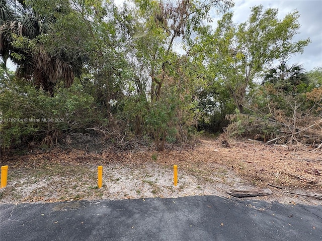 30XX Forest Hills Dr, Coral Springs, FL 33065 - photo 1