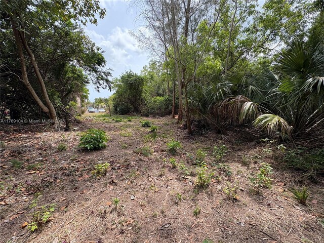 30XX Forest Hills Dr, Coral Springs, FL 33065 - photo 3