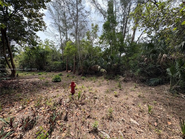 30XX Forest Hills Dr, Coral Springs, FL 33065 - photo 4