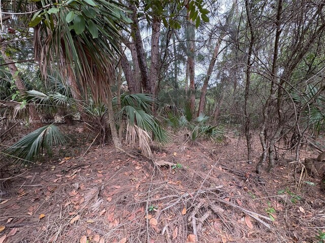 30XX Forest Hills Dr, Coral Springs, FL 33065 - photo 5