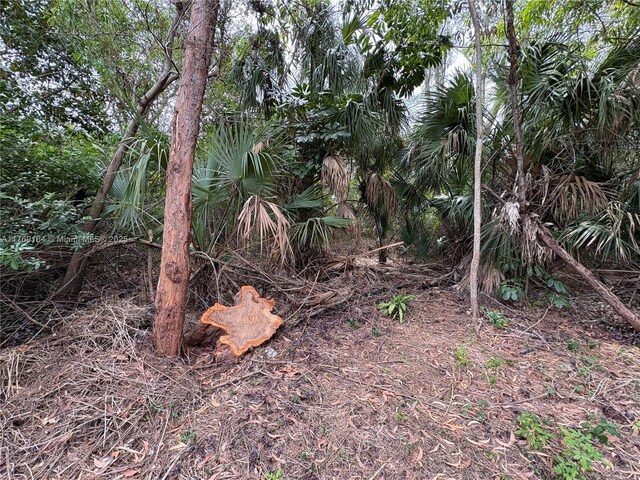 30XX Forest Hills Dr, Coral Springs, FL 33065 - photo 6
