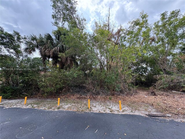 30XX Forest Hills Dr, Coral Springs, FL 33065 - photo 8