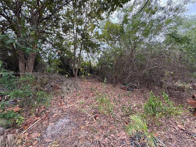 30XX Forest Hills Dr, Coral Springs, FL 33065 - photo 9
