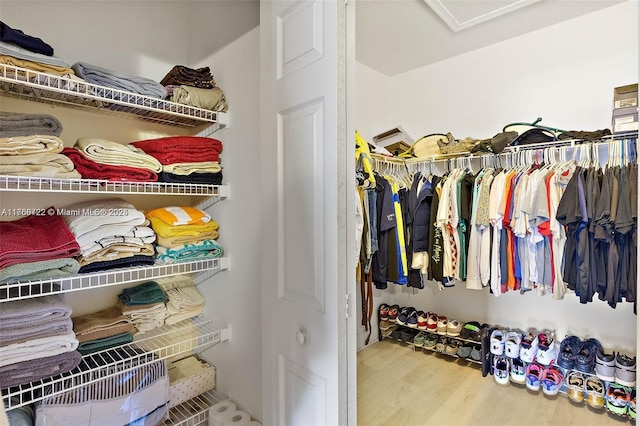 3340 Palomino Dr Unit 221-2, Davie, FL 33024 - walk in closet featuring wood finished floors
