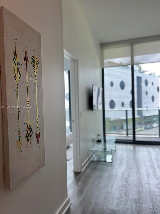 501 NE 31st St Unit 202, Miami, FL 33137 - corridor featuring a wall of windows, wood finished floors, baseboards, and a healthy amount of sunlight