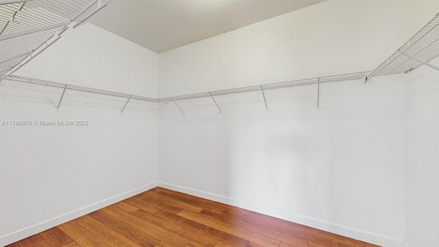 14214 SW 129th Path, Miami, FL 33186 - walk in closet featuring wood-type flooring