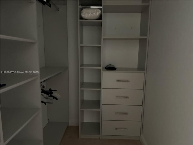 9840 NW 86th Ter, Doral, FL 33178 - view of walk in closet