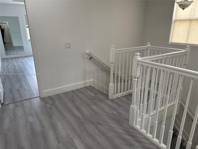 10086 NW 89th Ter, Doral, FL 33178 - stairway featuring baseboards and wood finished floors